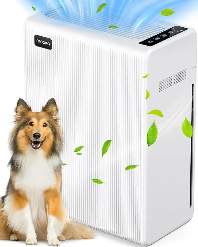 Air Purifier E-300L