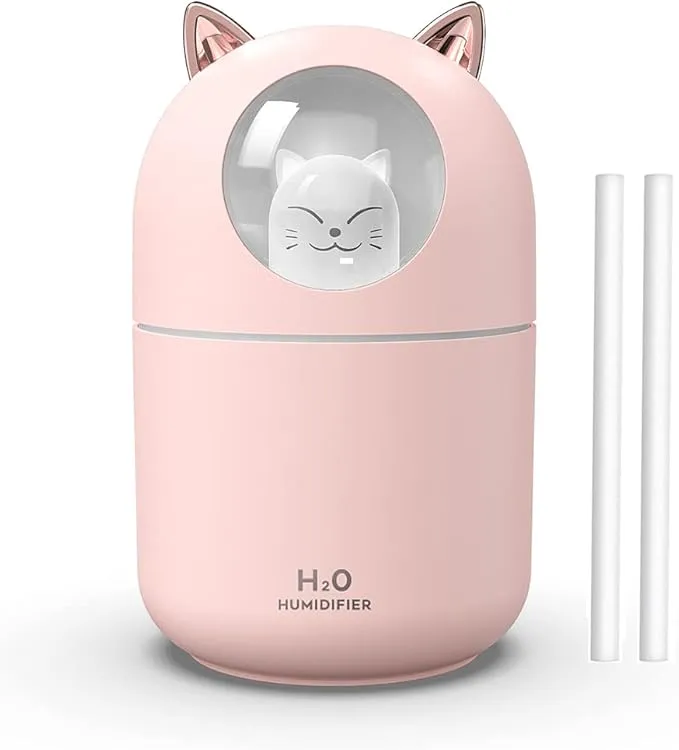 Portable 300ml Mini Cool Mist Humidifier