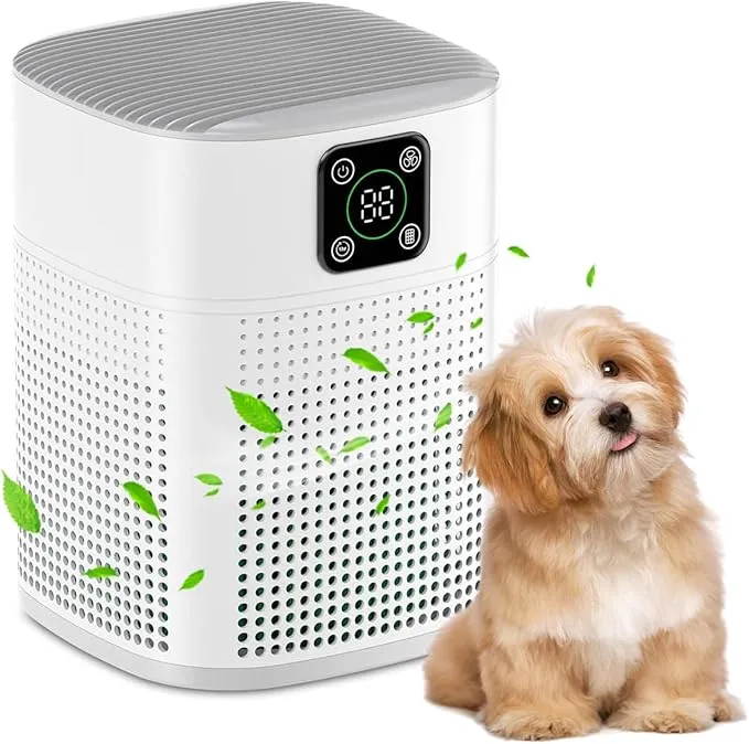 H13 HEPA Air Purifier hy1800pro