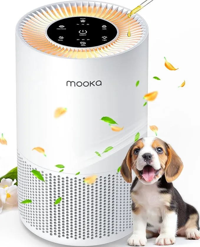 AP-S0610L Air Purifier
