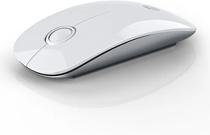 RAPIQUE R306 Dual Mode Wireless Mouse