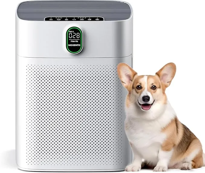 HY4866 Air Purifier