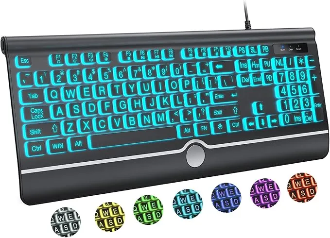 Large Print Backlit Computer Keyboard