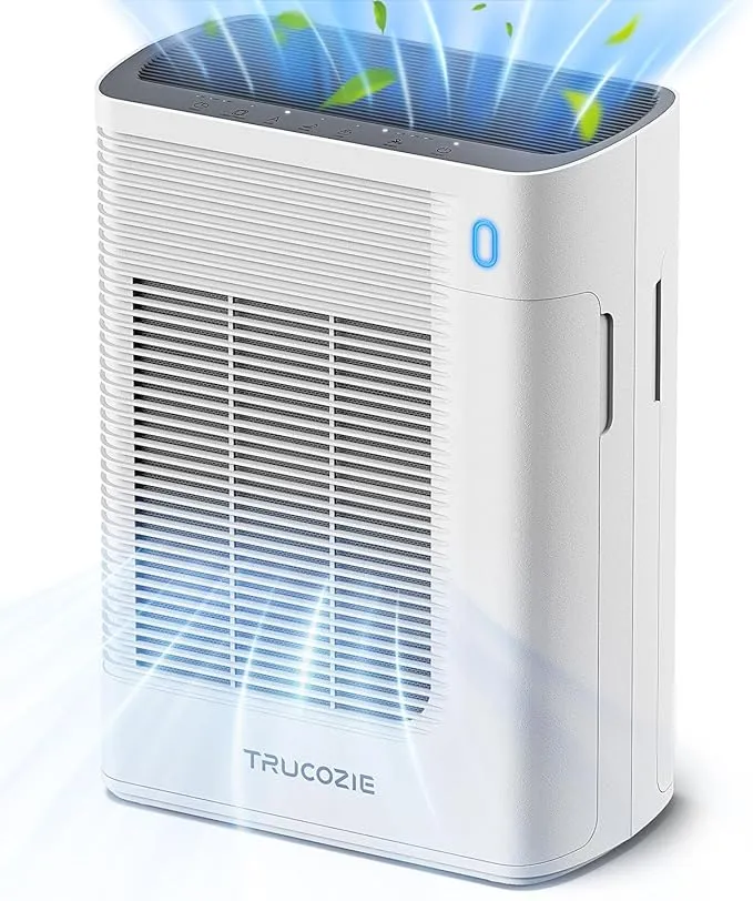 T356 Air Purifier