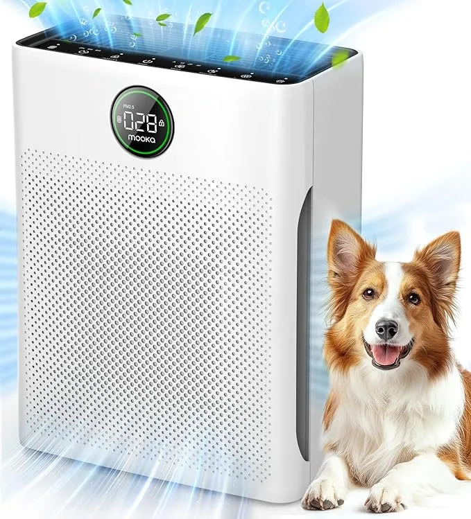 Air Purifier PR1