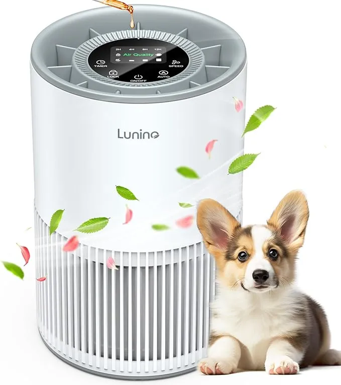Air Purifiers for Home Large Room up to 1200ft² BW302