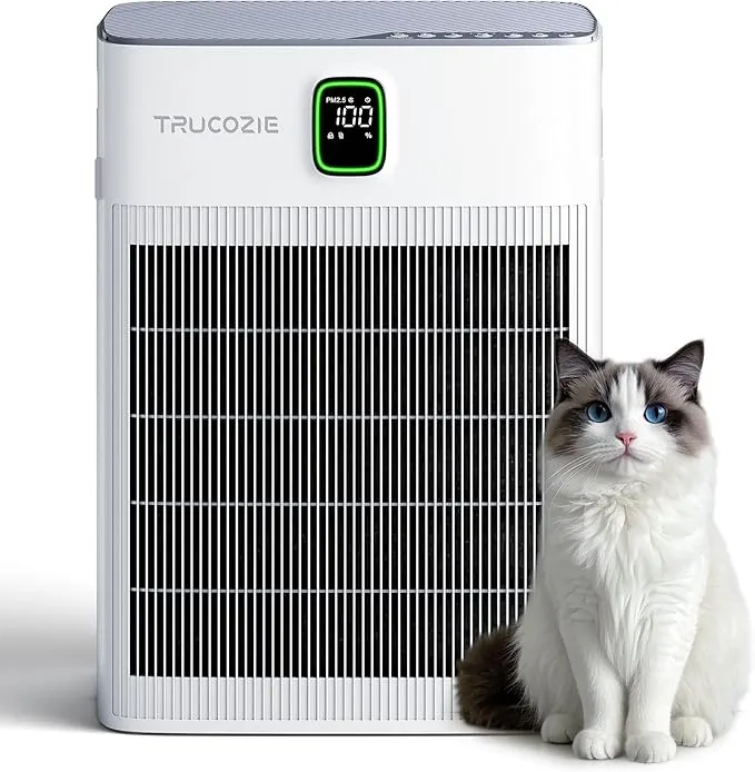 T554 Air Purifier