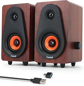 Small Computer Speakers C5203