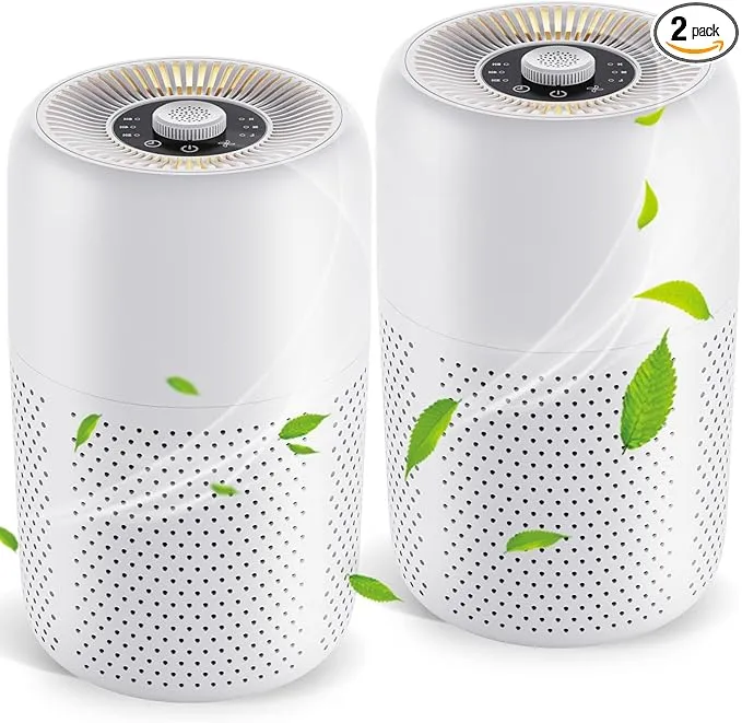 Air Purifiers P60