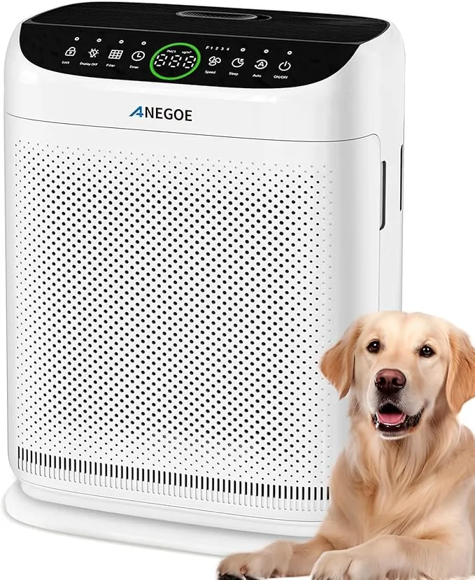 Air Purifier ZX001