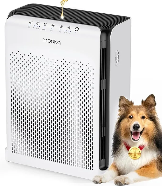 M200L HEPA air purifier