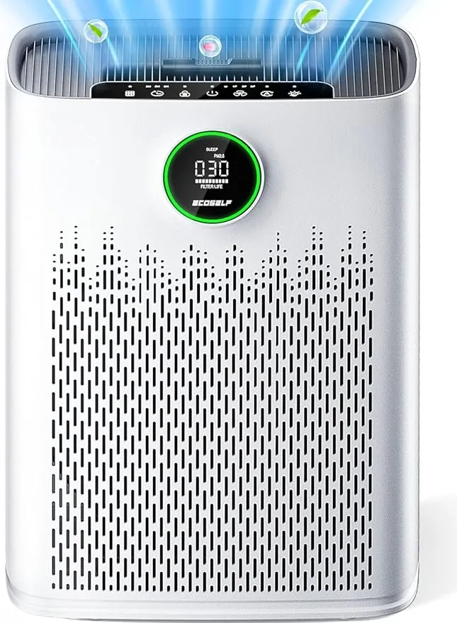HAP603 Air Purifier