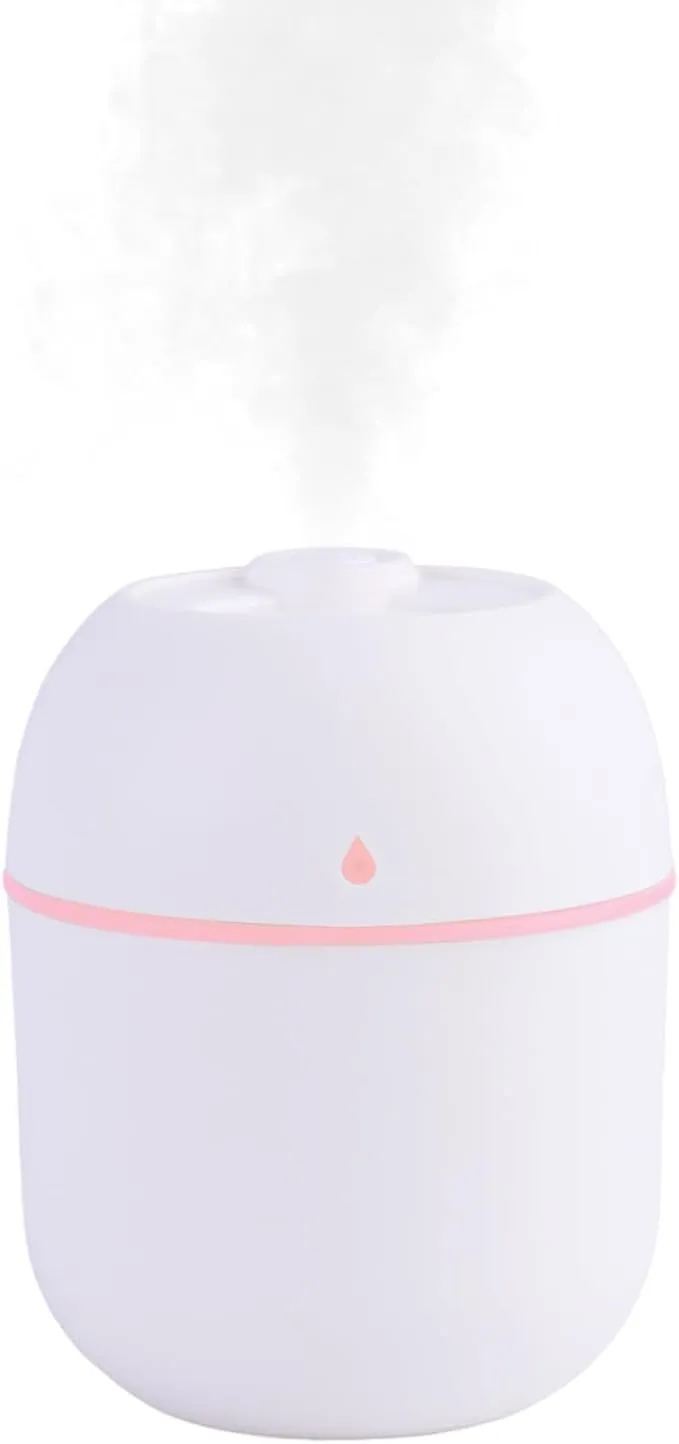 Portable Mini Humidifier PENWU001