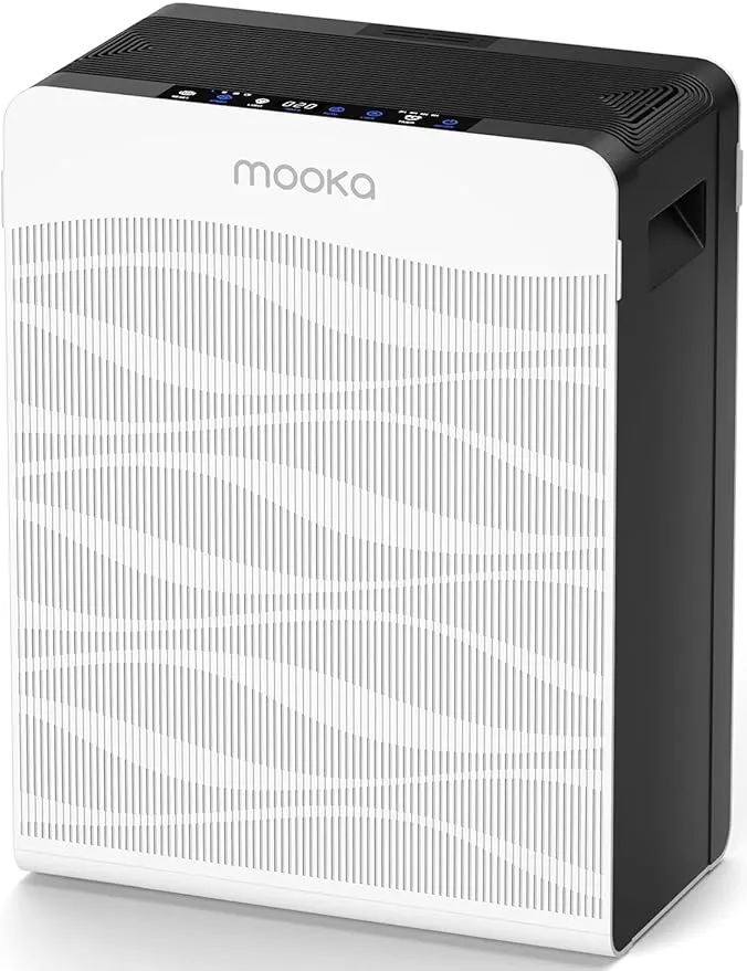 Air Purifier C300